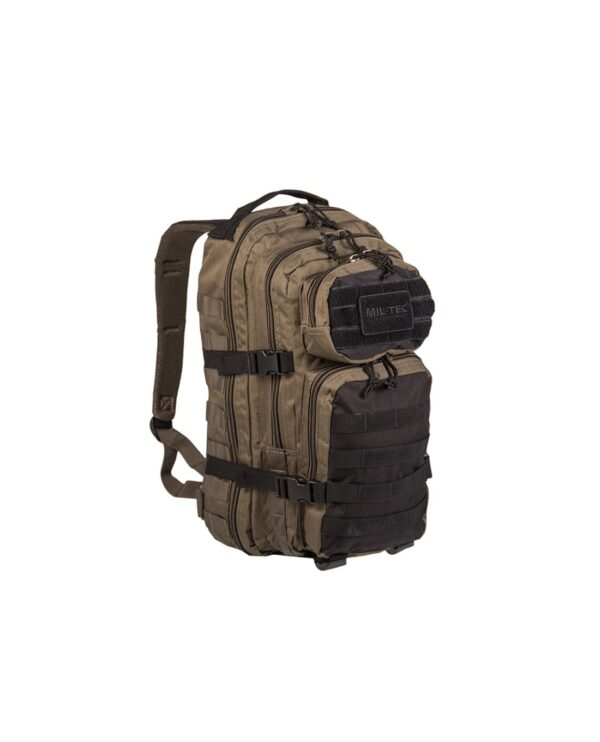 mil-tec-sturm-backpack-us-assault-small-14002101-1 (1)